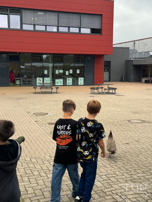 Feueralarm 2026