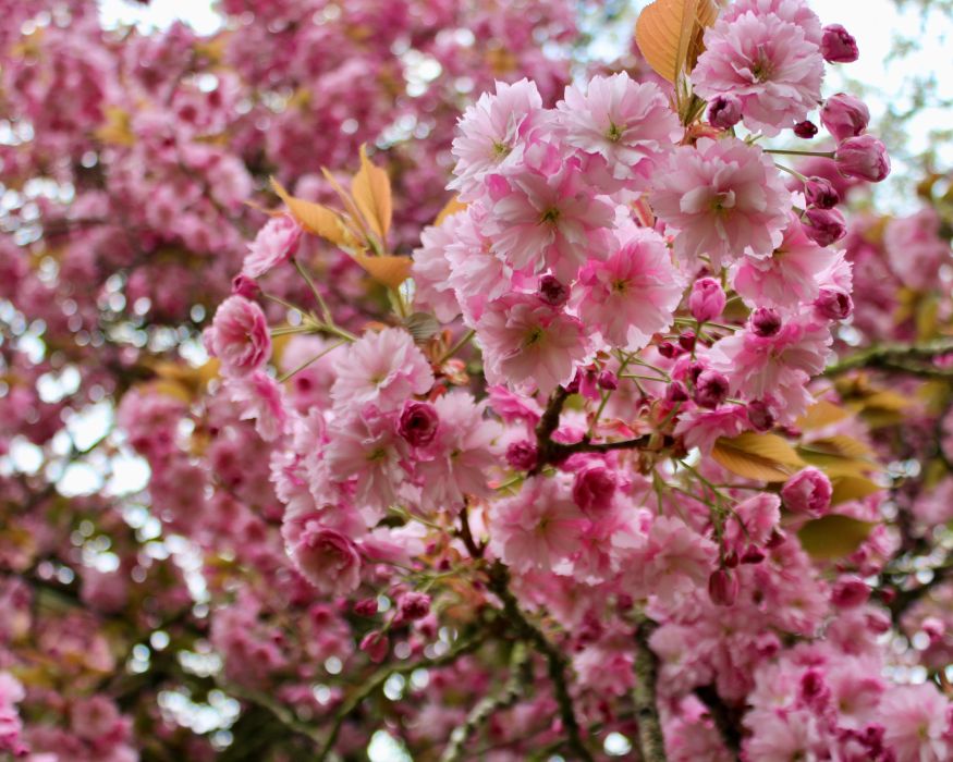 Fotokunst AG Ergebnisse